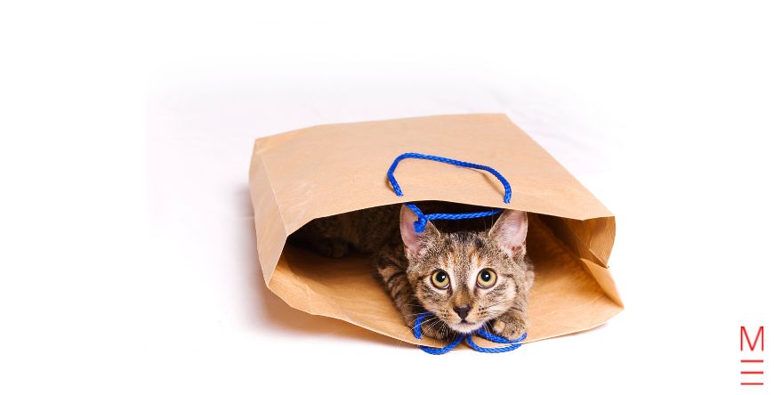 how to avoid clichés in your writing let the cat out of the bag