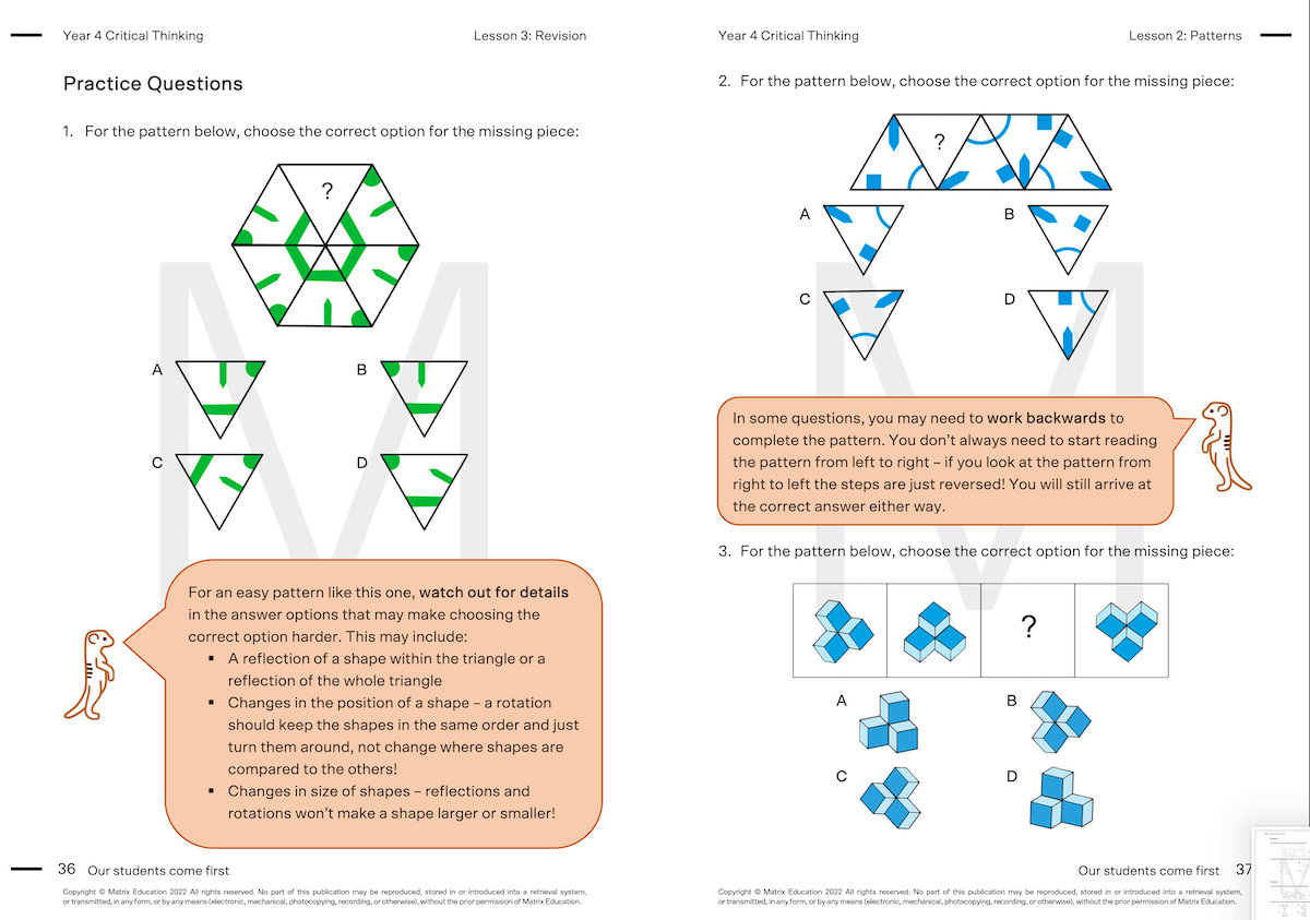 Y4 Critical Thinking Skills 4 - Patterns
