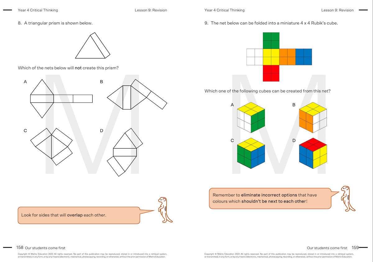 Y4 Critical Thinking Skills 9 - nets
