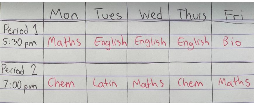 Year 12 Study Strategies matrix education subject list caitlyn blog
