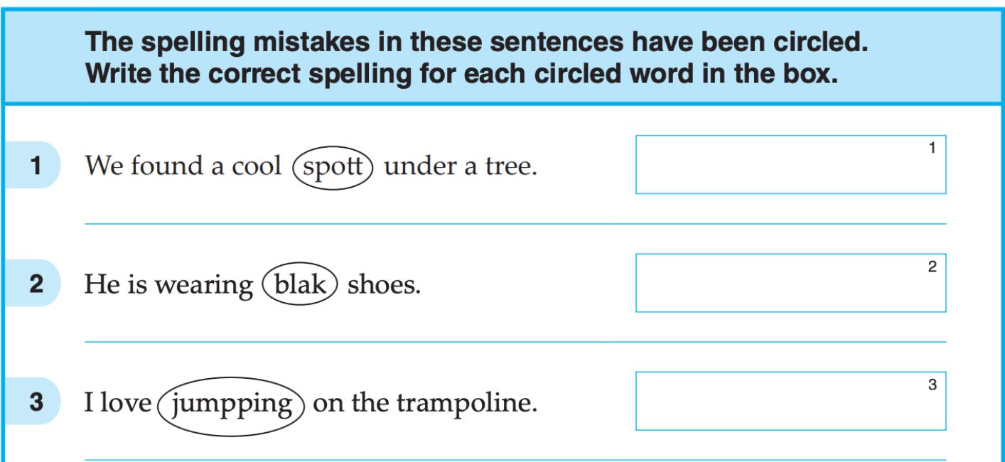 Year 3 NAPLAN Language Conventions