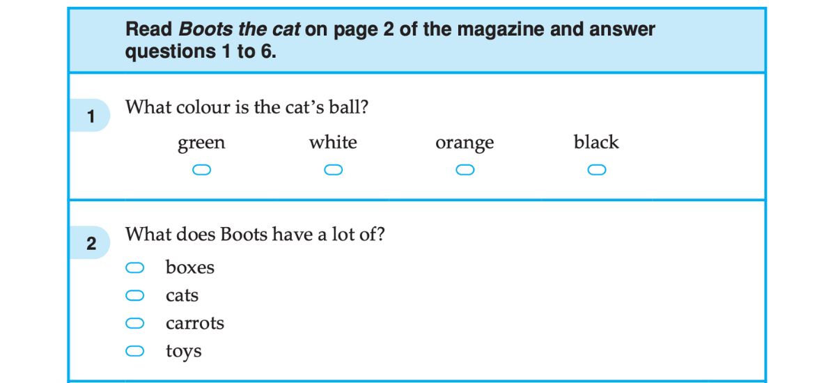 NAPLAN Year 3 Reading