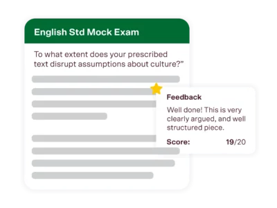 year 12 english standard tutoring mock exam