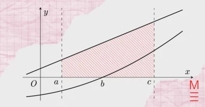 2023 HSC Maths Extension 1 Exam Paper Solutions