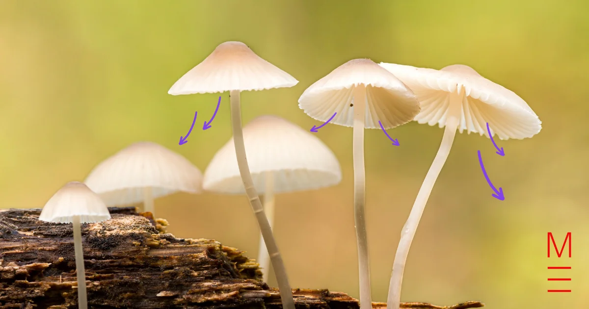 2023 HSC Biology Exam Solutions | 2023 HSC Exams