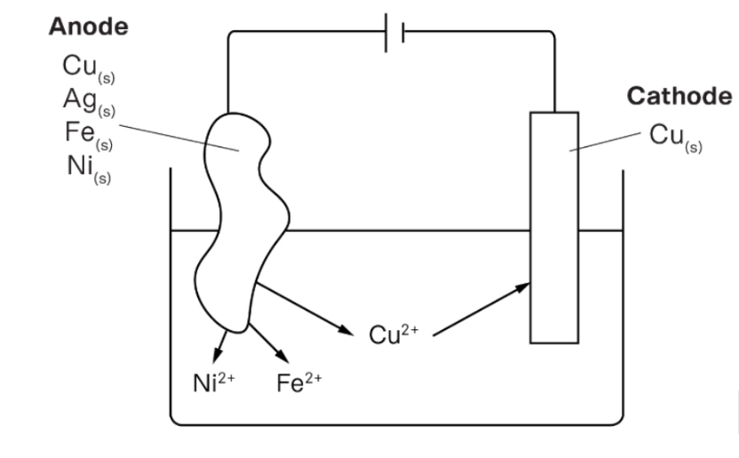 matrix education 2024 Chemistry Exam Section A Question 10 Diagram of an electrolytic cell showing the anode composed of Cu(s), Ag(s), Fe(s), and Ni(s), releasing Ni²⁺, Fe²⁺, and Cu²⁺ ions into the solution. The cathode, composed of Cu(s), is where Cu²⁺ ions are deposited as solid copper. 