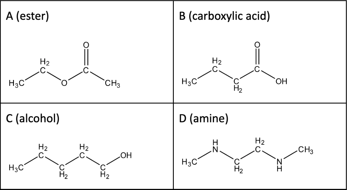 matrix education 2024 Chemistry Exam Solutions Section A Question 18 - A set of four organic compounds labeled A (ester), B (carboxylic acid), C (alcohol), and D (amine), and their chemical structures.