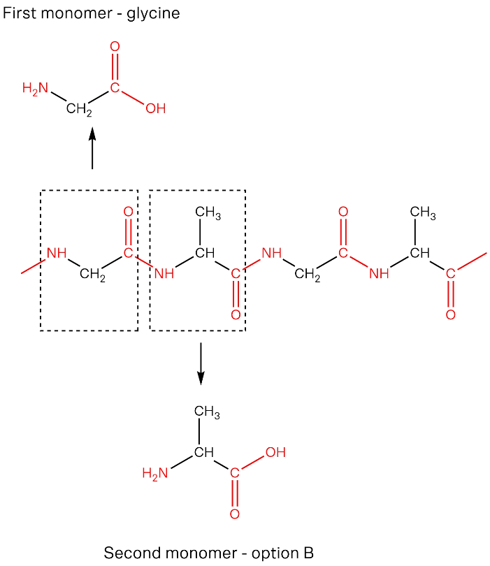 Polymer structure formation starting with a glycine monomer, bond connections and repeating units