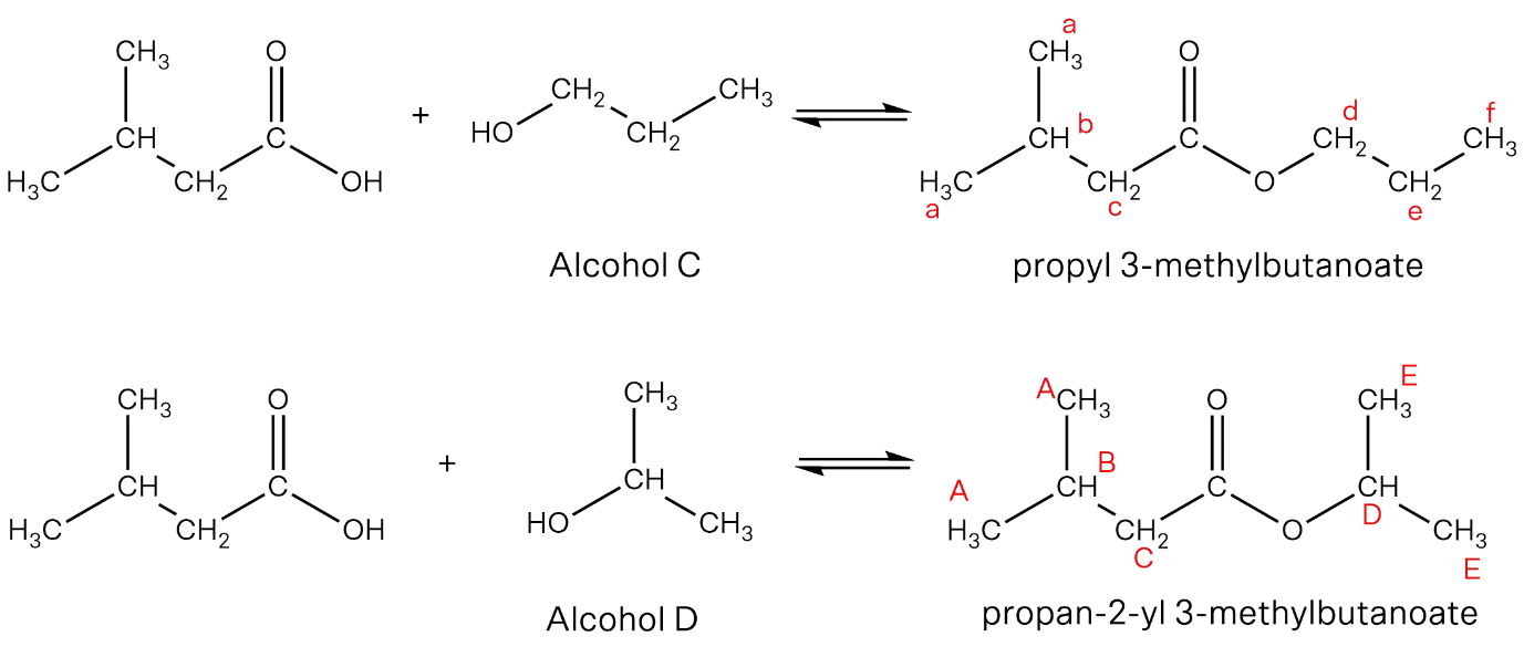 Diagram of esterification reactions forming propyl 3-methylbutanoate and propan-2-yl 3-methylbutanoate
