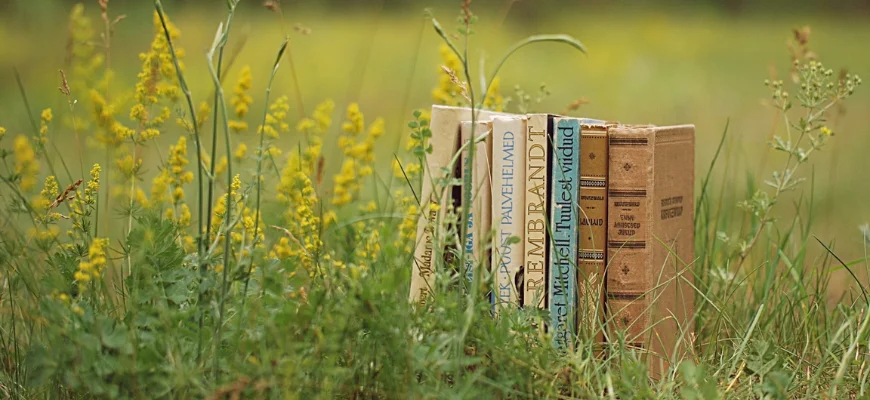 A row of vintage books standing upright in a grassy field with yellow wildflowers