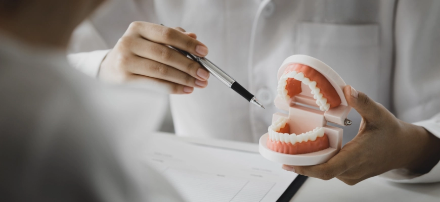 Dentist using a pen to point at a dental model during a consultation