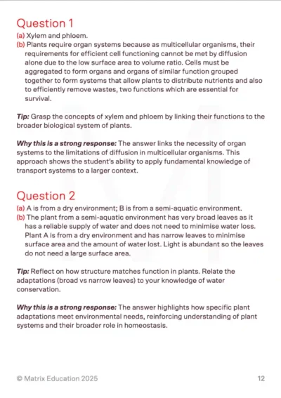 sample solutions page with 'tips' and 'why this is a strong response' explanations for each question