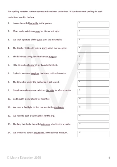 sample page of NAPLAN test from language conventions