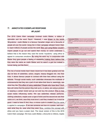 matrix education sample page showing part of an annotated essay