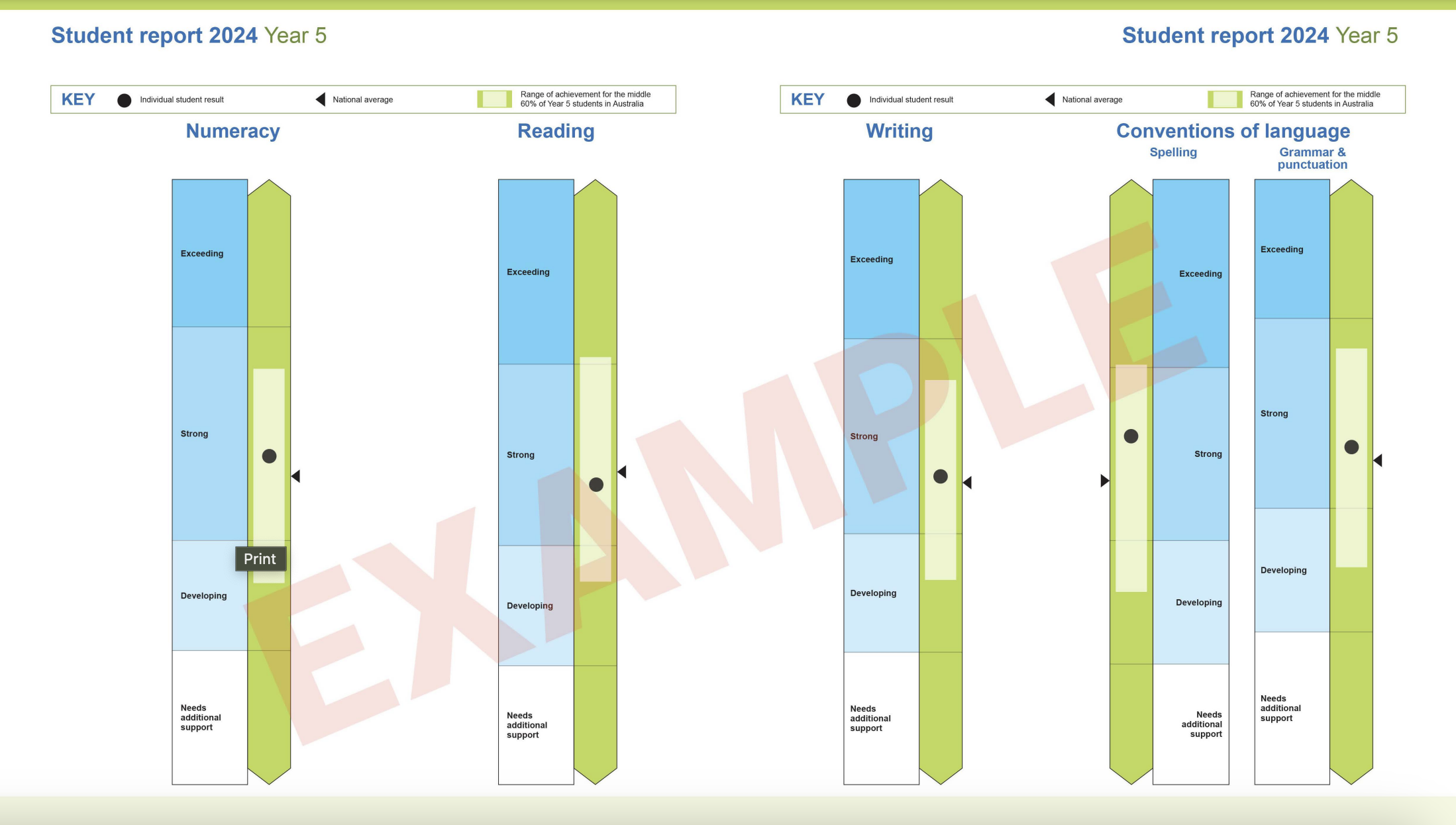 sample image of naplan results showing proficiency levels