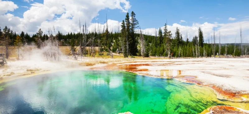 matrix education yellowstone national park biology