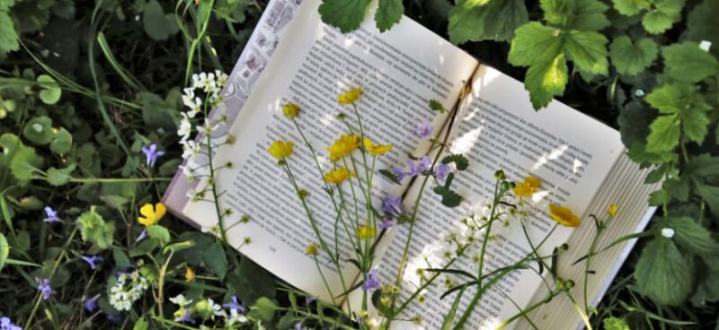 matrix education book amongst flowers and grass