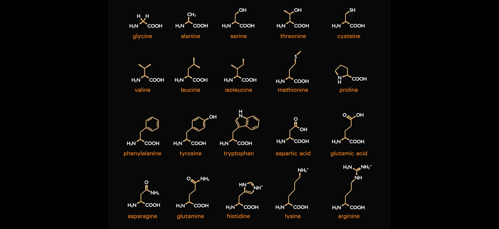 matrix education 20 questions for vce chemistry